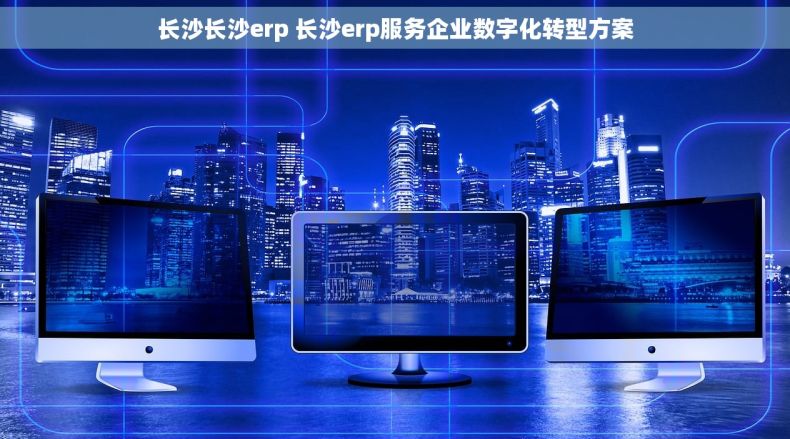 长沙长沙erp 长沙erp服务企业数字化转型方案