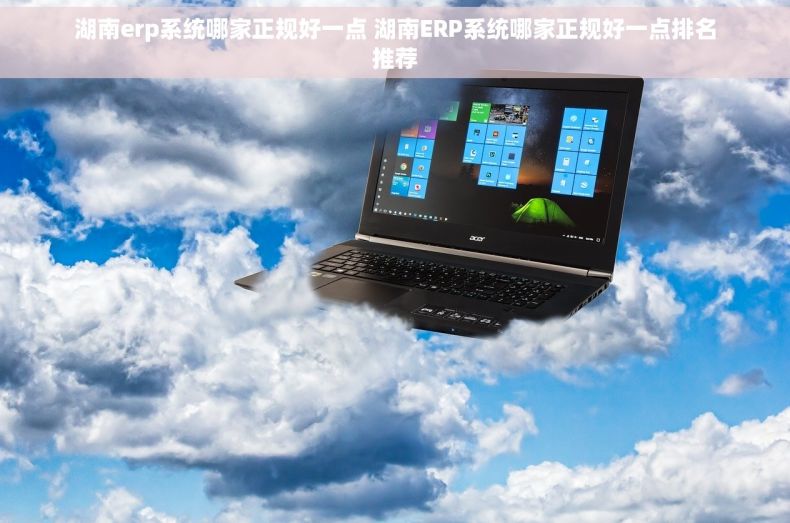湖南erp系统哪家正规好一点 湖南ERP系统哪家正规好一点排名推荐