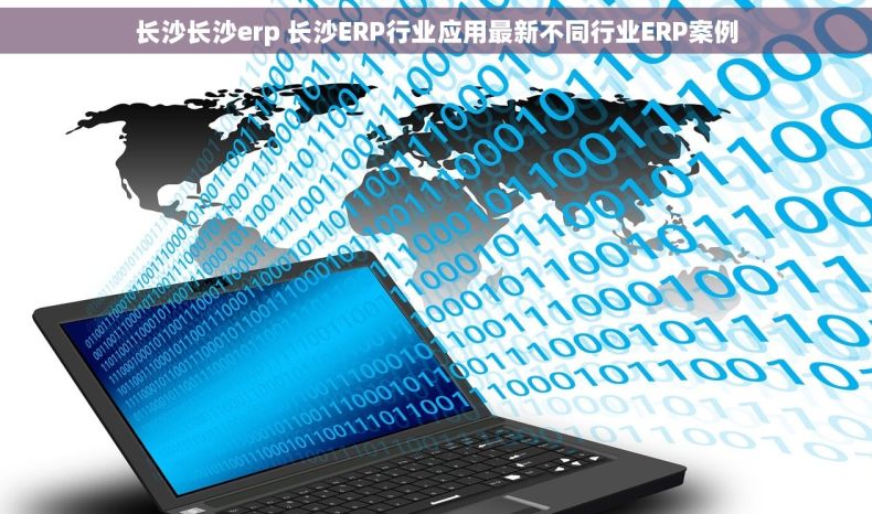 长沙长沙erp 长沙ERP行业应用最新不同行业ERP案例