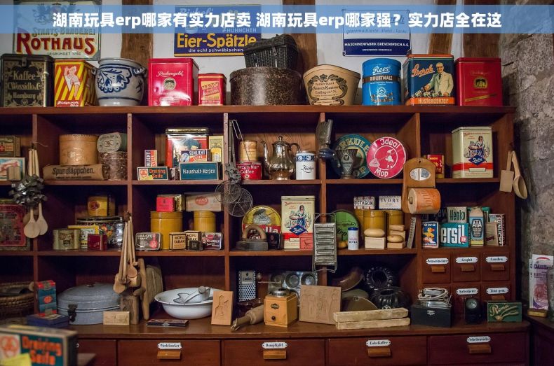 湖南玩具erp哪家有实力店卖 湖南玩具erp哪家强？实力店全在这