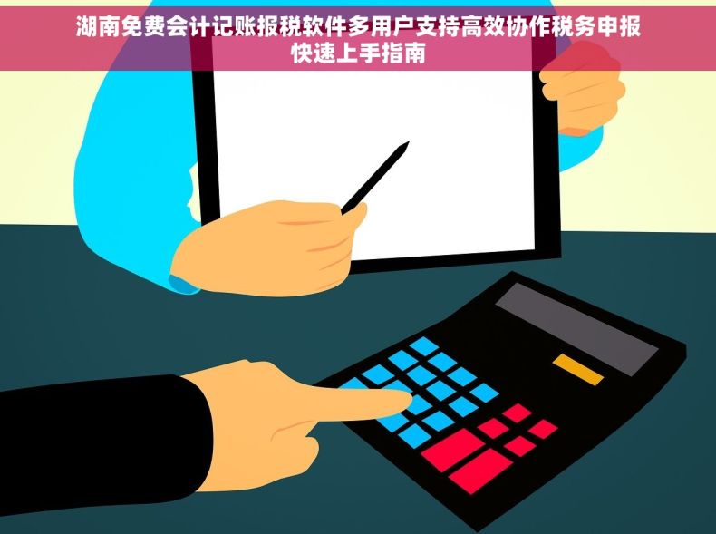 湖南免费会计记账报税软件多用户支持高效协作税务申报快速上手指南