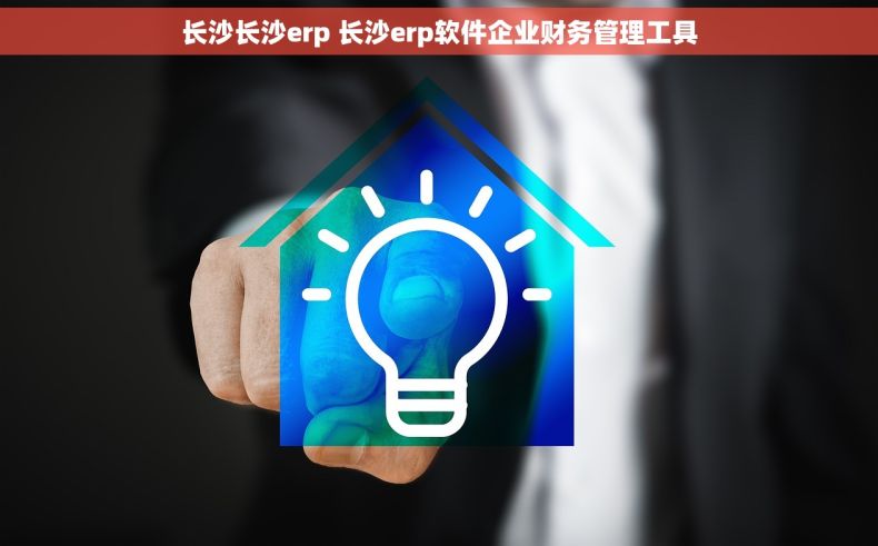 长沙长沙erp 长沙erp软件企业财务管理工具