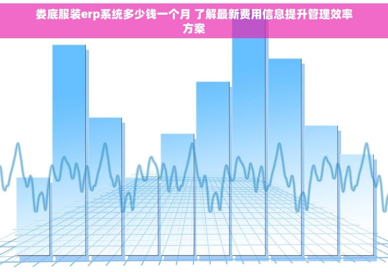 娄底服装erp系统多少钱一个月 了解最新费用信息提升管理效率方案