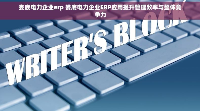 娄底电力企业erp 娄底电力企业ERP应用提升管理效率与整体竞争力