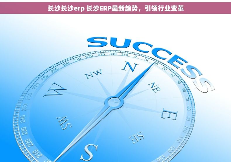 长沙长沙erp 长沙ERP最新趋势，引领行业变革