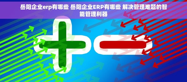 岳阳企业erp有哪些 岳阳企业ERP有哪些 解决管理难题的智能管理利器