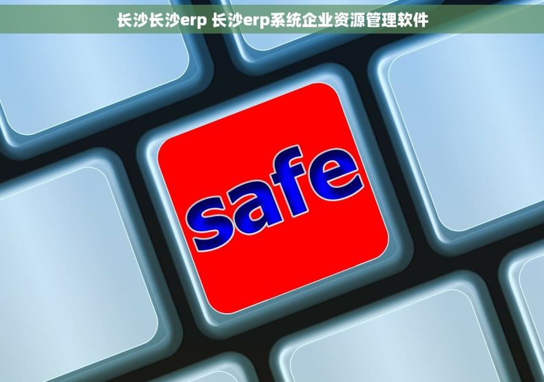 长沙长沙erp 长沙erp系统企业资源管理软件