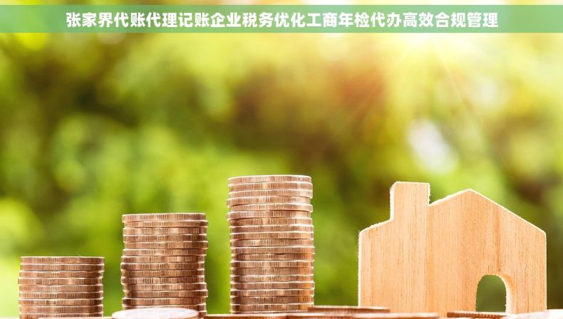 张家界代账代理记账企业税务优化工商年检代办高效合规管理