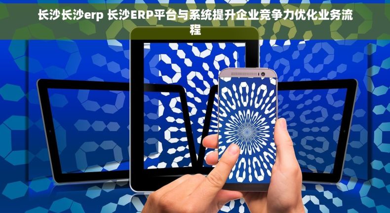 长沙长沙erp 长沙ERP平台与系统提升企业竞争力优化业务流程