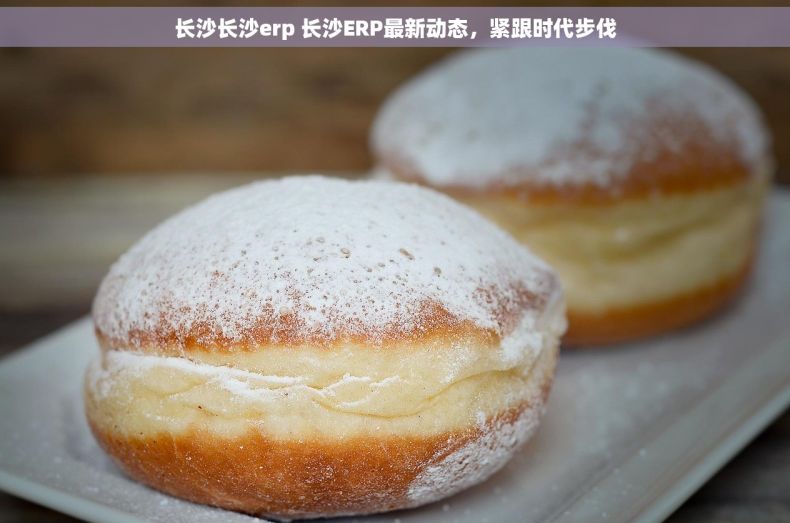 长沙长沙erp 长沙ERP最新动态，紧跟时代步伐
