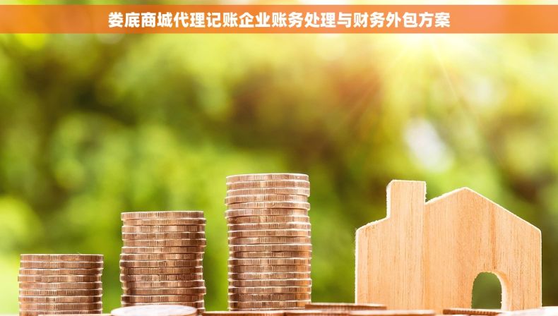 娄底商城代理记账企业账务处理与财务外包方案