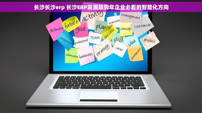 长沙长沙erp 长沙ERP发展趋势年企业必看的智能化方向