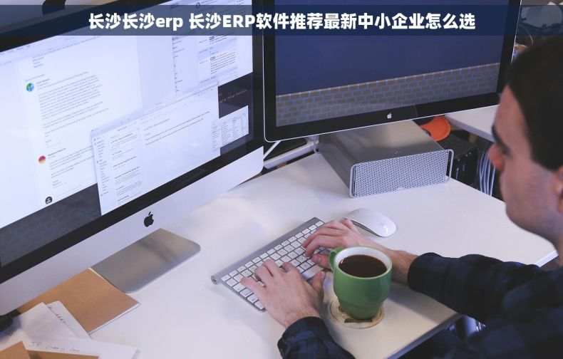 长沙长沙erp 长沙ERP软件推荐最新中小企业怎么选