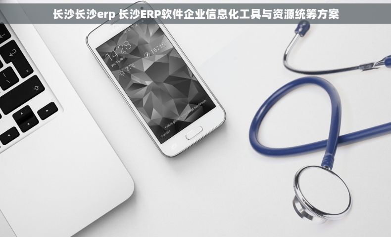 长沙长沙erp 长沙ERP软件企业信息化工具与资源统筹方案