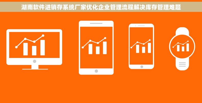 湖南软件进销存系统厂家优化企业管理流程解决库存管理难题