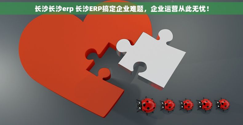 长沙长沙erp 长沙ERP搞定企业难题，企业运营从此无忧！