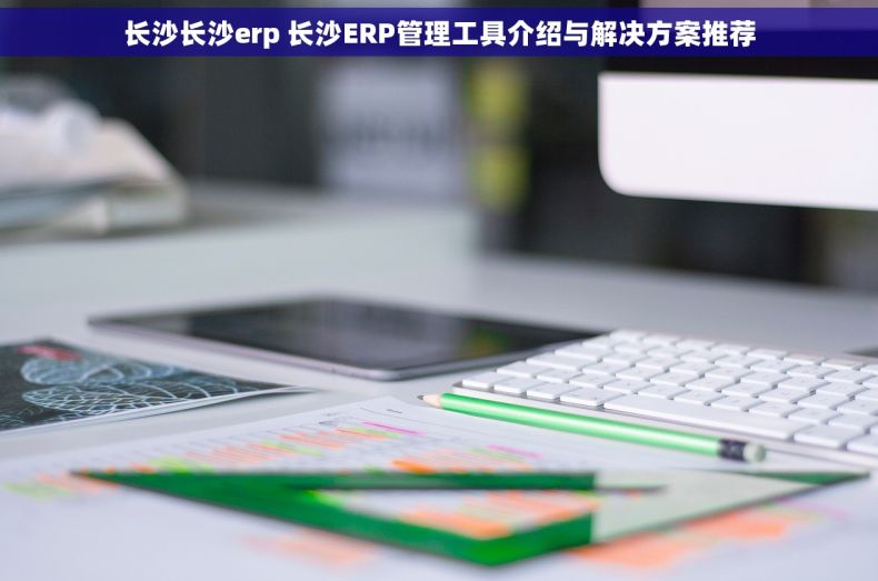 长沙长沙erp 长沙ERP管理工具介绍与解决方案推荐