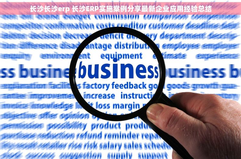 长沙长沙erp 长沙ERP实施案例分享最新企业应用经验总结