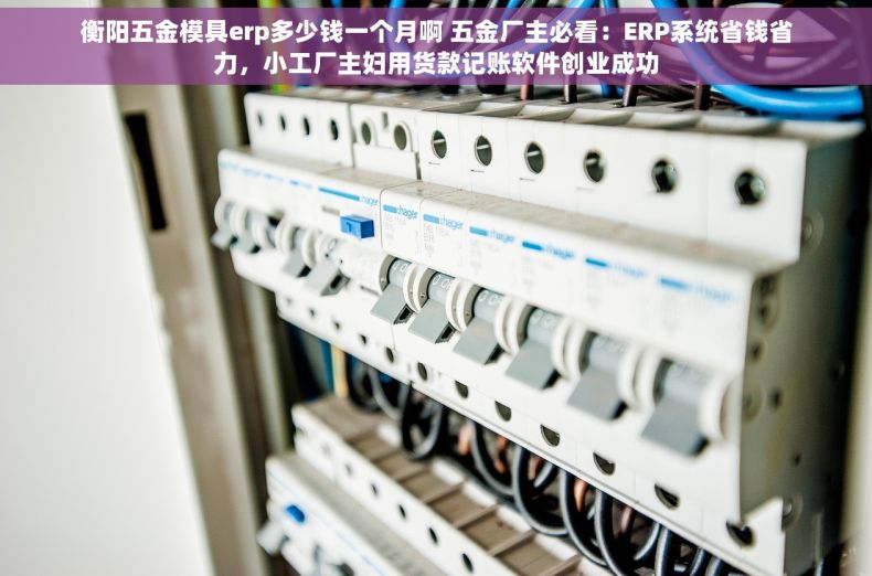 衡阳五金模具erp多少钱一个月啊 五金厂主必看：ERP系统省钱省力，小工厂主妇用货款记账软件创业成功