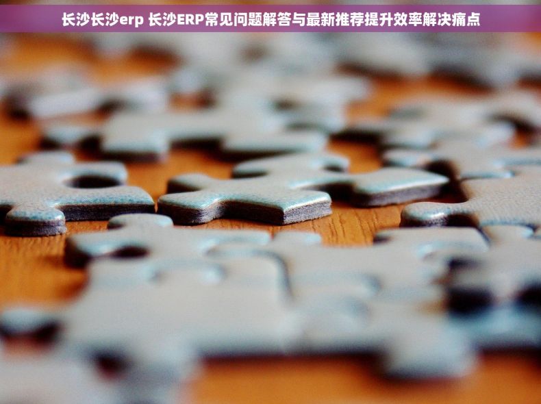 长沙长沙erp 长沙ERP常见问题解答与最新推荐提升效率解决痛点
