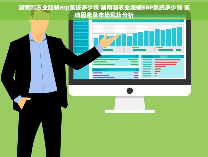 湖南制衣业服装erp系统多少钱 湖南制衣业服装ERP系统多少钱 影响因素及市场现状分析
