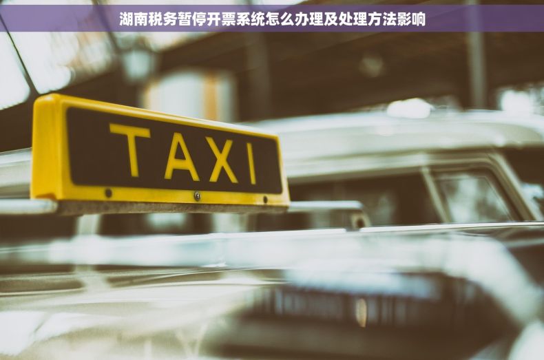 湖南税务暂停开票系统怎么办理及处理方法影响