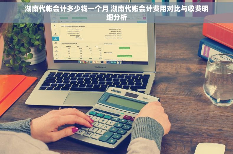 湖南代帐会计多少钱一个月 湖南代账会计费用对比与收费明细分析