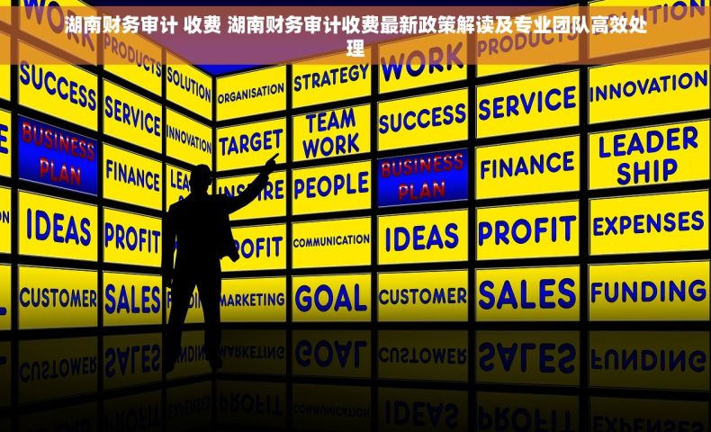 湖南财务审计 收费 湖南财务审计收费最新政策解读及专业团队高效处理