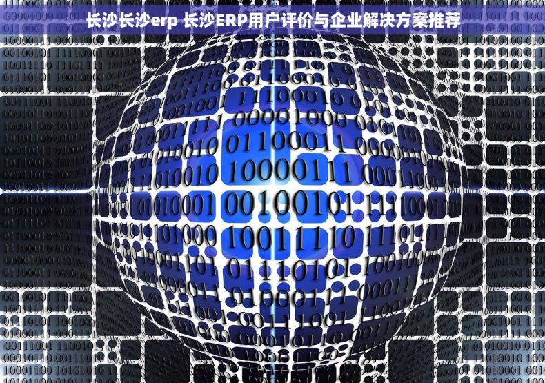 长沙长沙erp 长沙ERP用户评价与企业解决方案推荐