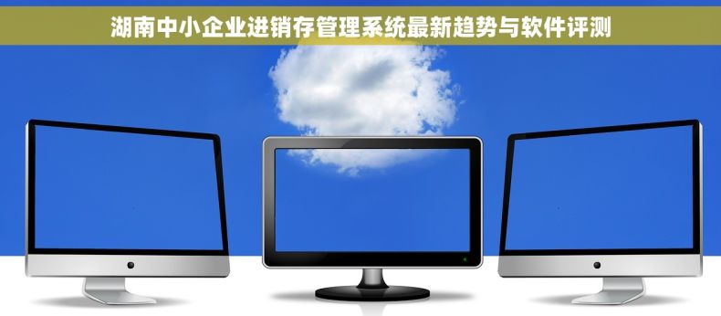 湖南中小企业进销存管理系统最新趋势与软件评测