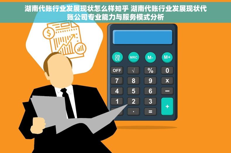 湖南代账行业发展现状怎么样知乎 湖南代账行业发展现状代账公司专业能力与服务模式分析