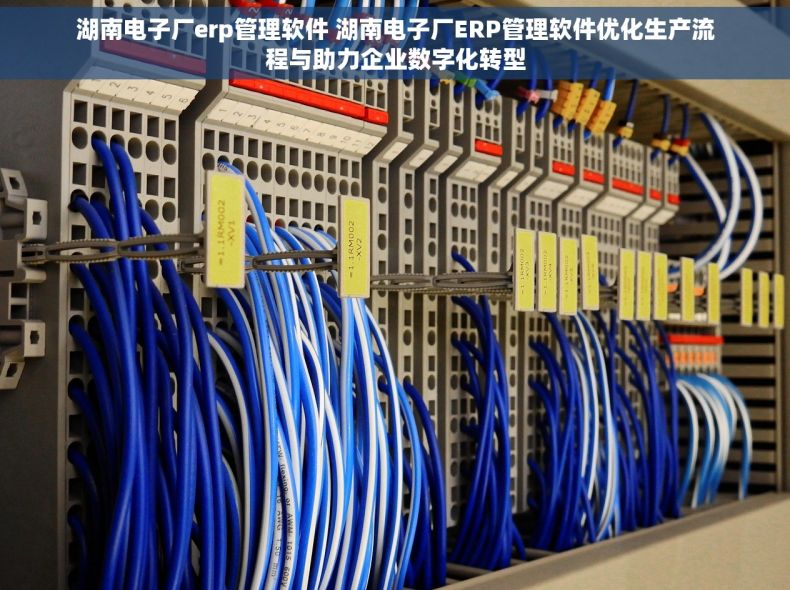 湖南电子厂erp管理软件 湖南电子厂ERP管理软件优化生产流程与助力企业数字化转型