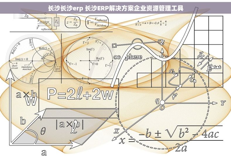 长沙长沙erp 长沙ERP解决方案企业资源管理工具