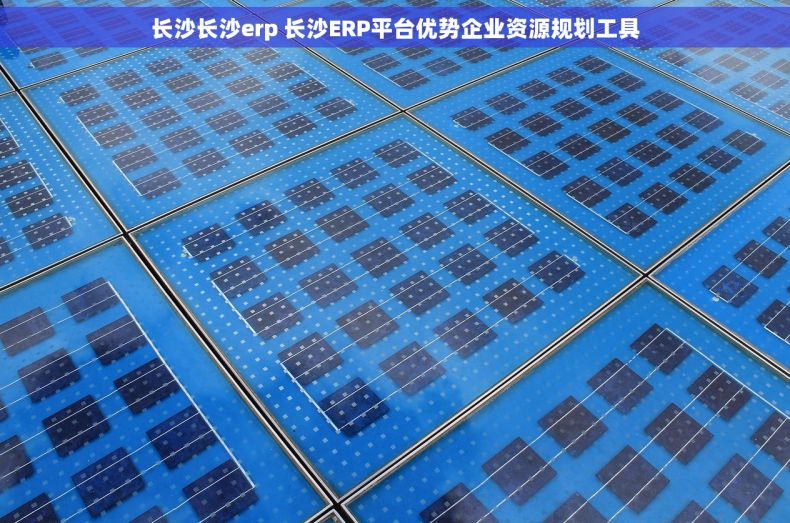 长沙长沙erp 长沙ERP平台优势企业资源规划工具