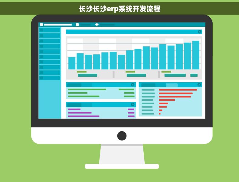 长沙长沙erp系统开发流程