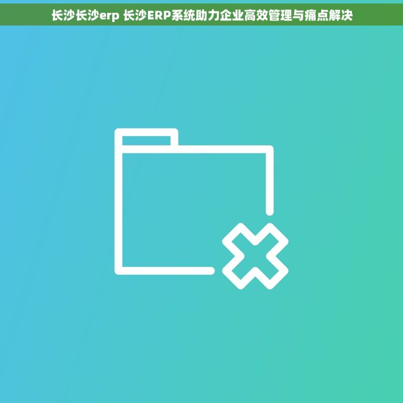 长沙长沙erp 长沙ERP系统助力企业高效管理与痛点解决