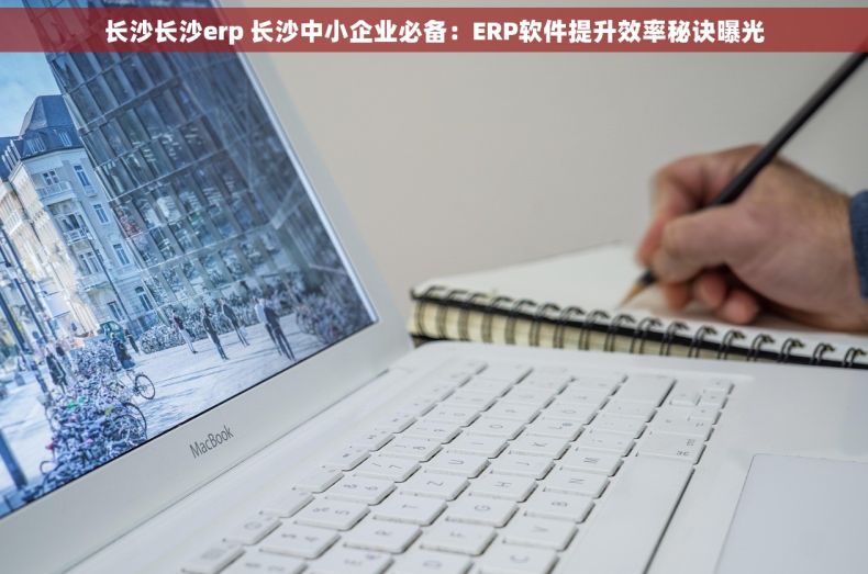 长沙长沙erp 长沙中小企业必备：ERP软件提升效率秘诀曝光