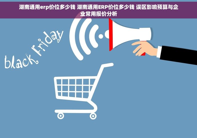 湖南通用erp价位多少钱 湖南通用ERP价位多少钱 误区影响预算与企业常用报价分析