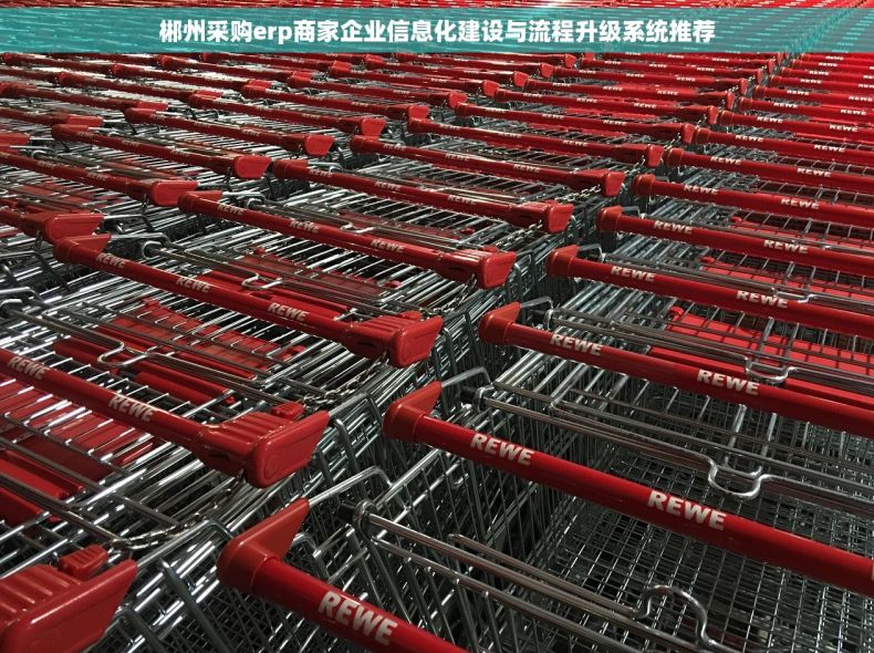 郴州采购erp商家企业信息化建设与流程升级系统推荐