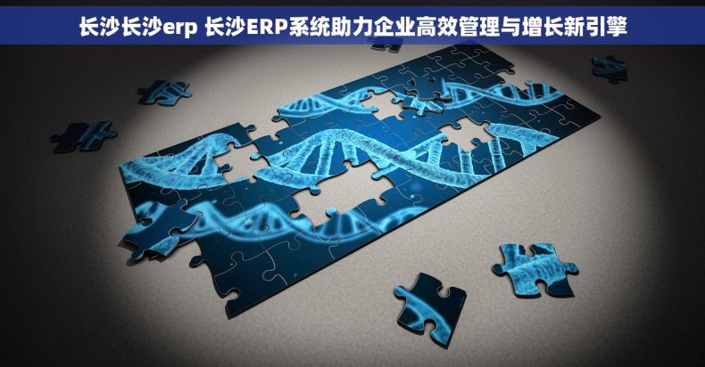 长沙长沙erp 长沙ERP系统助力企业高效管理与增长新引擎