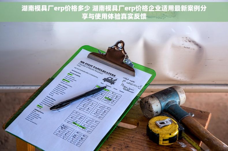 湖南模具厂erp价格多少 湖南模具厂erp价格企业适用最新案例分享与使用体验真实反馈
