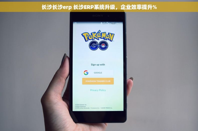 长沙长沙erp 长沙ERP系统升级，企业效率提升%