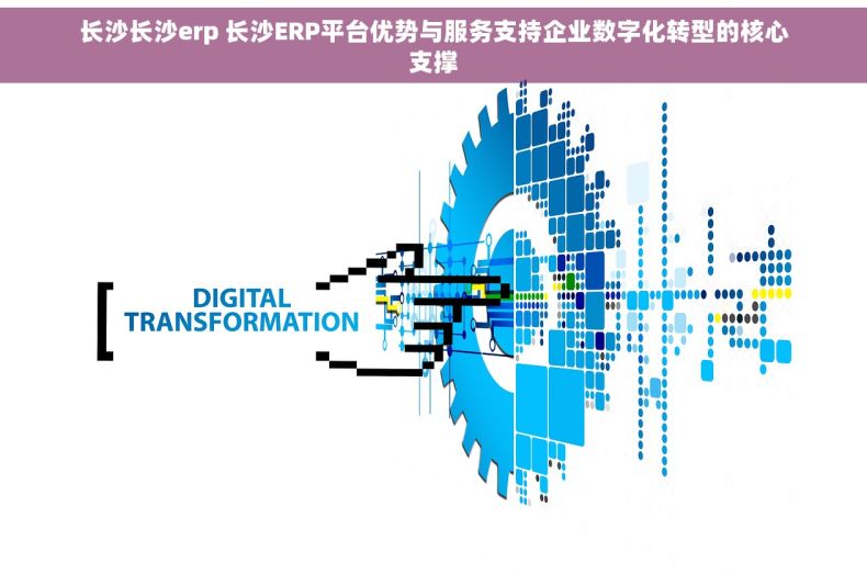 长沙长沙erp 长沙ERP平台优势与服务支持企业数字化转型的核心支撑