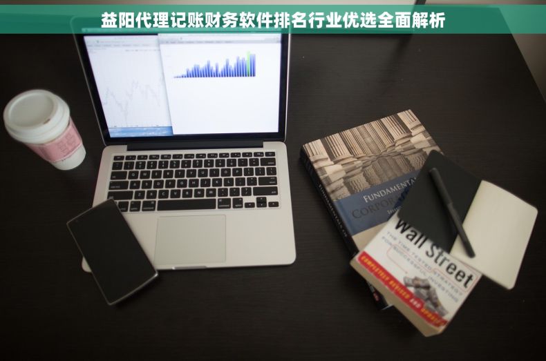益阳代理记账财务软件排名行业优选全面解析