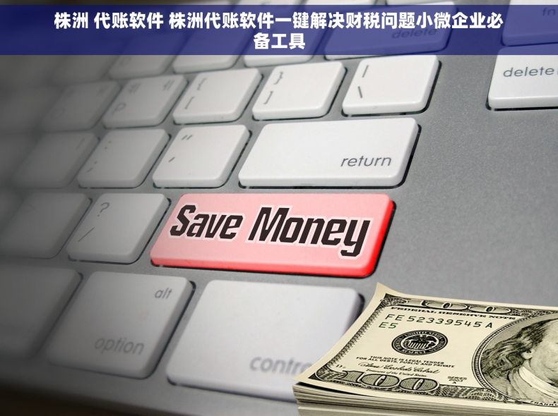 株洲 代账软件 株洲代账软件一键解决财税问题小微企业必备工具