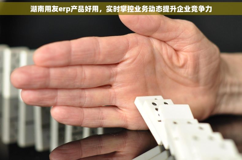 湖南用友erp产品好用，实时掌控业务动态提升企业竞争力