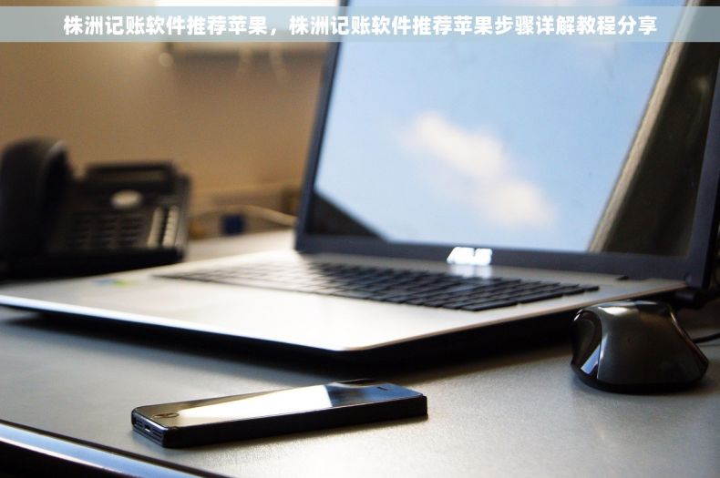 株洲记账软件推荐苹果，株洲记账软件推荐苹果步骤详解教程分享
