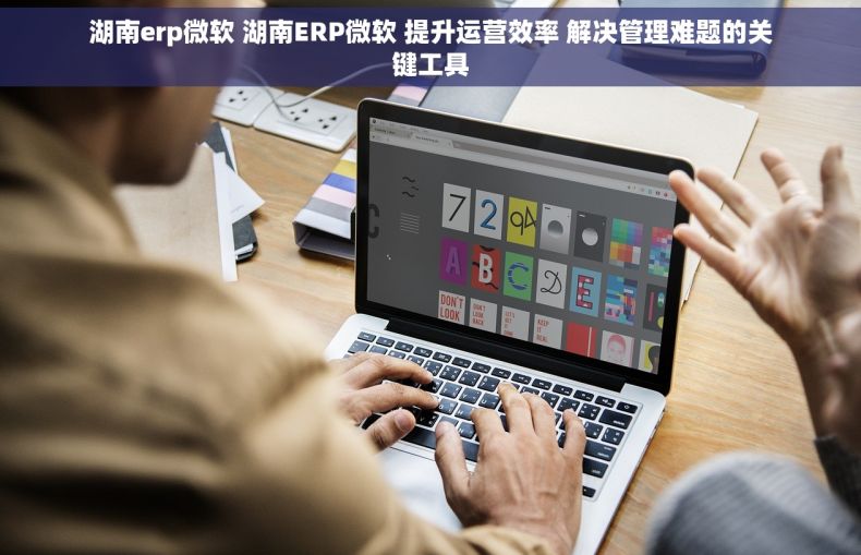 湖南erp微软 湖南ERP微软 提升运营效率 解决管理难题的关键工具