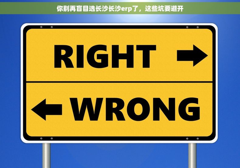 你别再盲目选长沙长沙erp了，这些坑要避开