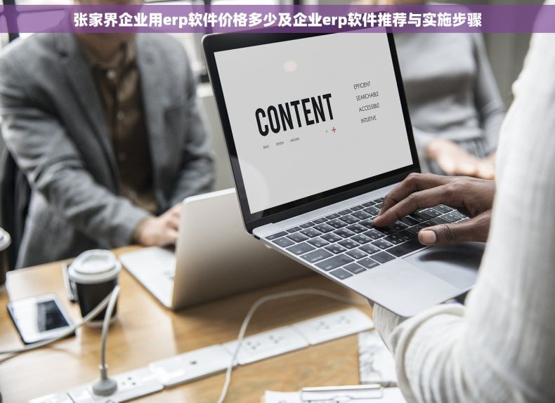 张家界企业用erp软件价格多少及企业erp软件推荐与实施步骤